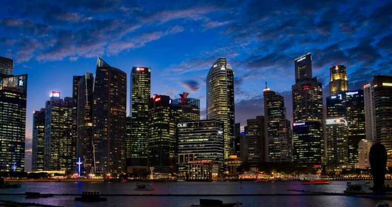 The Resilient and Dynamic Economy of Singapore